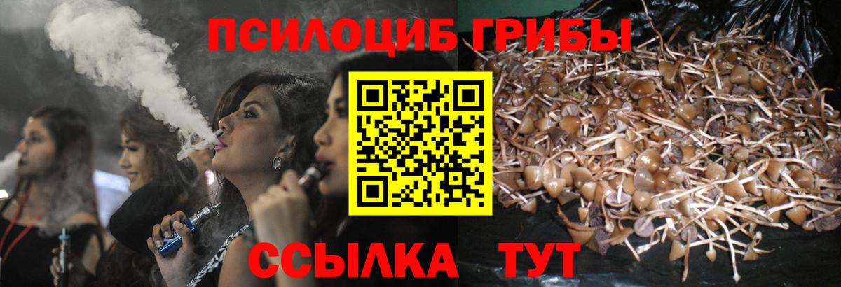 даркнет сайт  Галлюциногенные грибы GOLDEN TEACHER  Вход с VPN  Керчь 